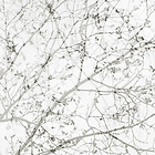 Naturmotiv Kimiko 02