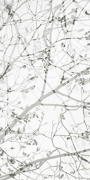 Naturmotiv Kimiko 01