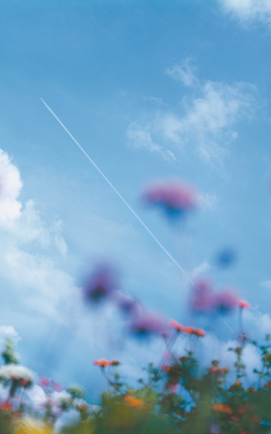 Fototapete Anabell - Gesamtansicht