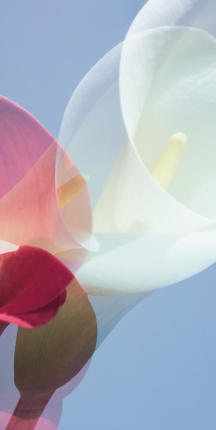 Fototapete Emily - Gesamtansicht