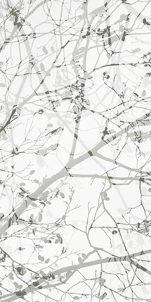 Naturmotiv Kimiko 01 - Gesamtansicht