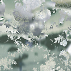 Bildtapete Van Green 01