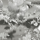 Bildtapete Van Grey 01