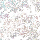 Bildtapete Le Blanc 01