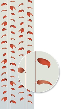 Mustertapete Plantas 03