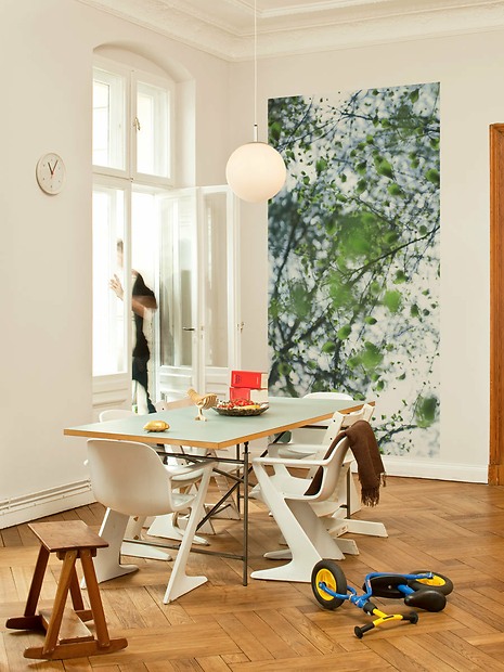 Fototapete Timon - Timon im Wohnzimmer