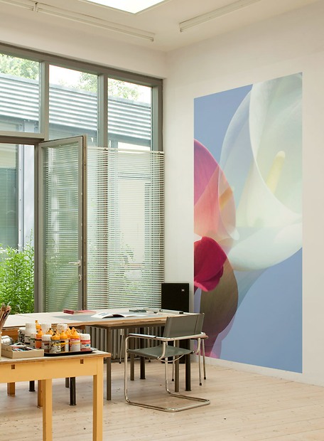 Fototapete Emily - Emily im Studio