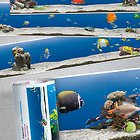 Panorama Borte Aquarium
