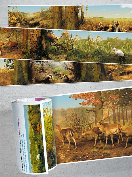 Panorama Borte Naturkunde - Ausschnitte