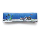 Panorama Borte Aquarium