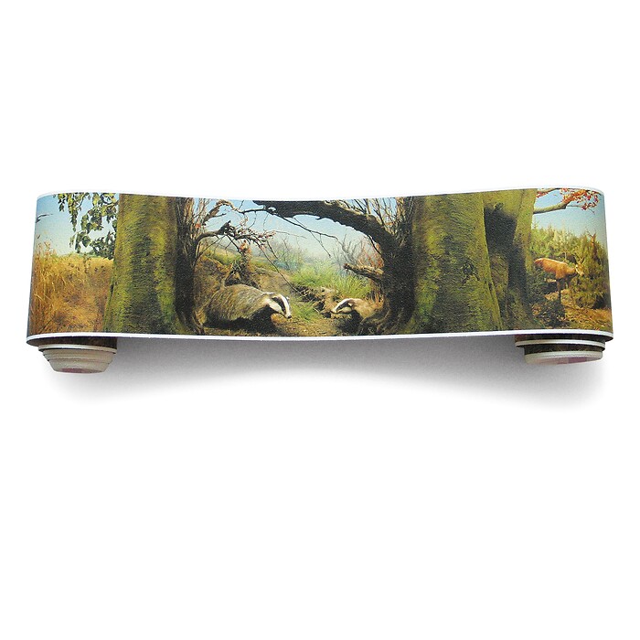 Panorama Borte Naturkunde - Rollenansicht