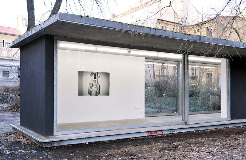 Marc Schuhmann <br>Aus meinem Tierbuch - Foto Marc Schuhmann 2024 VG Bild Kunst