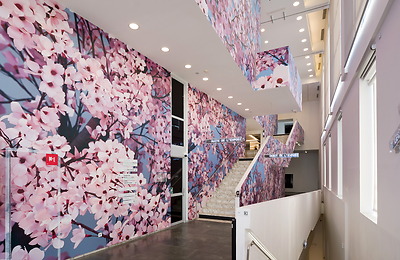 Thomas Demand - Kirschblüten, Nationalgalerie Berlin Thomas Demand - Kirschblüten, Nationalgalerie Berlin